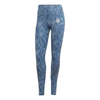 adidas (WMNS) adidas by Stella McCartney TruePace Running COLD.RDY Leggings Asia Sizing Teal HG6865
