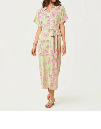 Lilly Pulitzer Mckennon Maxi Dress In Pistachio Macaron Alina