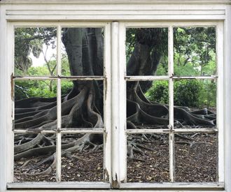 Queence Wandsticker »Baumwurzeln« Wandsticker, Wandbild, selbstklebend, 3D, Fenster