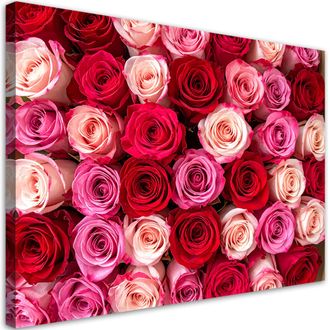 Feeby Cuadro En Lienzo, Rosas Flores Plantas Naturaleza, 100x70