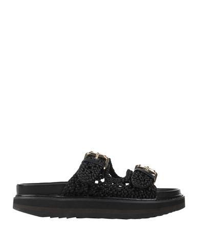 ASH Sandals POLINESIA Black 01 Women サンダル・ミュール
