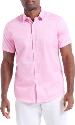Robert Graham Roth Short Sleeve Cotton Button-Up Shirt in Light Pink at Nordstrom Rack, Size Xx-Large