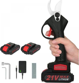 OEM S&eacute;cateur &Eacute;lectrique Sans Fil, Con 2 Pilas De 21 V, Moteur Sans Balai, Secador Para Jardinage, Secador Adaptado Para Jardins, Ramas, Macetas, Noir