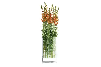 Philippi Design Vase Decade