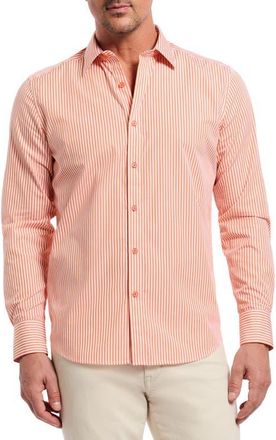 Robert Graham Greenwich Stripe Stretch Button-Up Shirt in Orange at Nordstrom, Size Xxx-Large