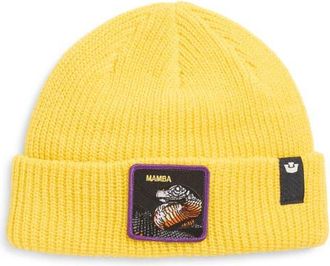 Goorin Brothers The Mamba Beanie in Beam at Nordstrom