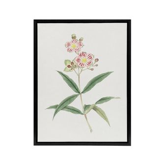 Artery8 Red White Blossoms Framed Canvas Wall Art Print Vintage Japan Botanical in Green | Size: W24 x H32