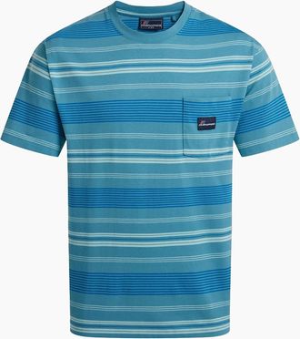 Craghoppers Mens Craghoppers Mens Pointer Striped Short-Sleeved T-Shirt - Blue - Size: 40