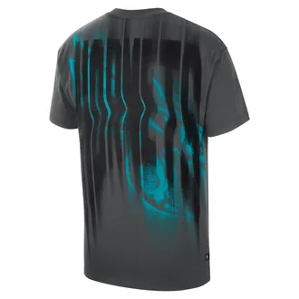 Nike Mens Charlotte Hornets NBA T-Shirt in Black | IO6360-010