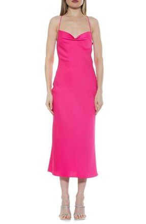 Alexia Admor Dionee Draped Cowl Neck Midi Dress in Hot Pink at Nordstrom Rack, Size 10