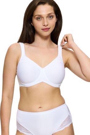 Triumph Minimizer-BH