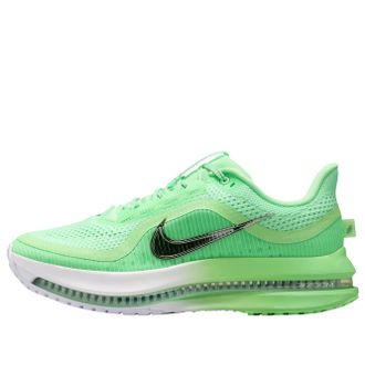 Nike (WMNS) Nike Air Zoom Pegasus Premium Illusion Green Silver HQ2593-302
