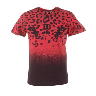 Dolce & Gabbana T-Shirts, male, Multicolor, Size: M Animal Print Short Sleeve T-shirt