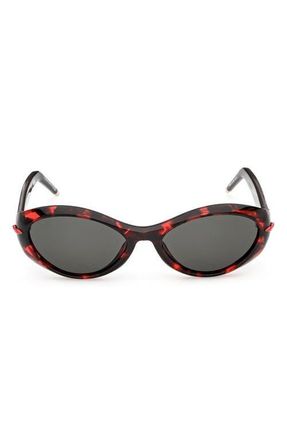 Christian Louboutin 55mm Oval Sunglasses in Red Havana /Bilayer Black at Nordstrom