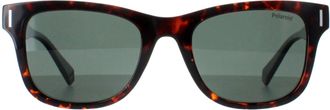 Polaroid PLD 6206/S 086 UC havana groen gepolariseerde zonnebril