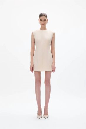 Rachel Gilbert Hallie Mini Dress In Champagne