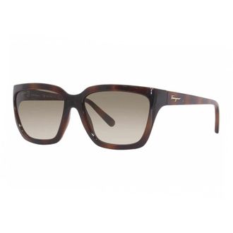 Ferragamo SF1018S 214 Havana/Green Brown Gradient