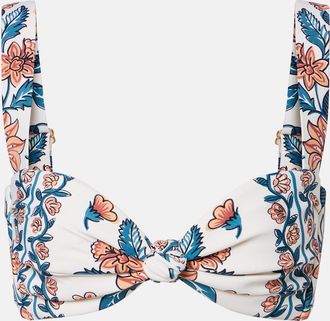 Montce Swim Top de bikini Hayden floral