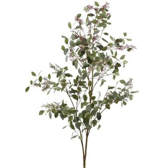 Schubiger M&ouml;bel Kunstpflanze Eucalyptusbaum H: 178 cm