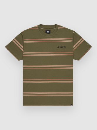 DC Maximize Stripe T-Shirt groen