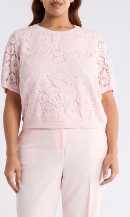 Tahari by ASL Lace Front Sweater in Tea Rose at Nordstrom, Size 3X