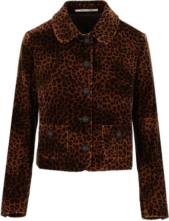 Tagliatore Idelle Blazer - Jackets - Mujer - Marr&oacute;n - M