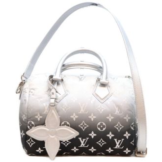 Louis Vuitton Silver Nylon Shoulder Bag (Pre-Owned)