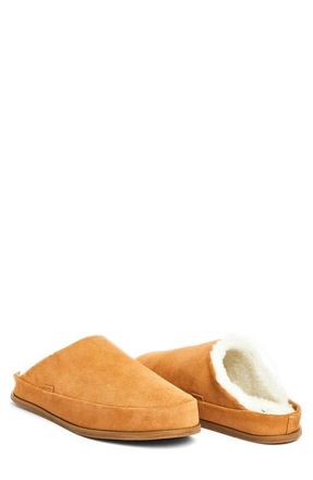 Hari Mari Tio Genuine Shearling Lined Slipper in Tan at Nordstrom, Size 11
