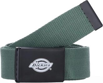 Dickies Uomo, Accessori, Verde, Taglia unica, new