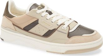 Axel Arigato Clay Sneaker in Beige/dark Brown at Nordstrom, Size 46
