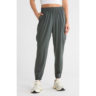 Apana Villa Cargo Joggers in Urban Chic at Nordstrom Rack, Size X-Large
