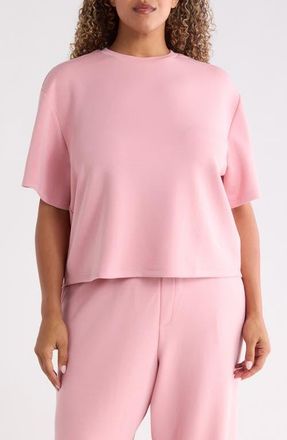 Bernardo Knit Drop Shoulder T-Shirt in Blush at Nordstrom, Size 2X