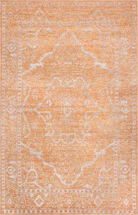 Safavieh Stone Wash Rug
