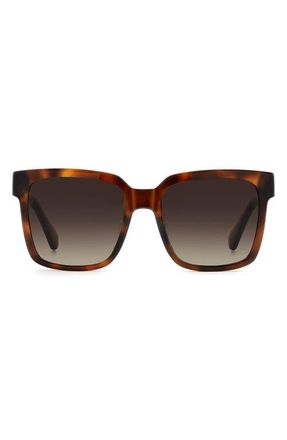 Kate Spade New York Shira 55mm Sunglasses in Havana/Brown Sf at Nordstrom