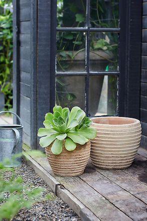 Terrain Antiqued Ring Ceramic Jar Planter