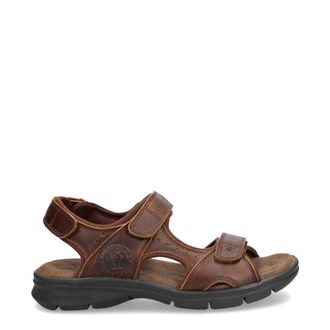 Panama Jack Mens Salton Basics C4 Leather Sandals