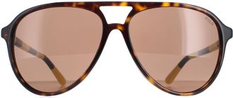 Polo Ralph Lauren Aviator Heren Glimmend Donker Havana Bruin Zonnebril