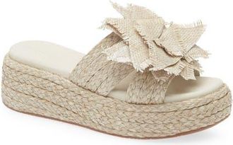 Chocolat Blu Lexie Platform Wedge Slide Sandal in Smoke Raffia at Nordstrom, Size 8.5