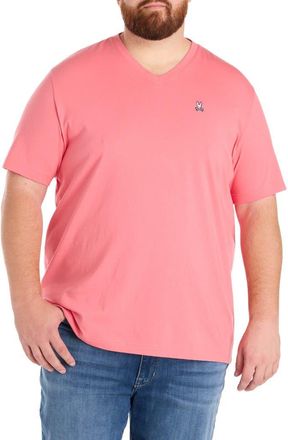 Psycho Bunny Big & Tall V-Neck T-Shirt in Rubi Quartz at Nordstrom, Size 3X Big