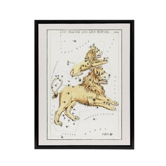 Artery8 Vintage Leo Constellation Illustration Hall Framed Canvas Wall Art in White | Size: W24 x H32