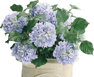 Frontgate Lilac Hydrangea Urn Filler - Frontgate
