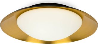 Netlighting Side Led BlackCopper Ceiling Lamp 20W