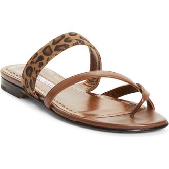 Manolo Blahnik Susa Crossover Sandal in Dark Brown/Leopard Print at Nordstrom, Size 10.5Us