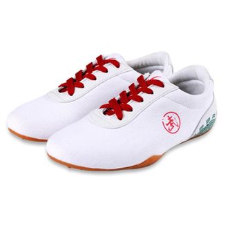 Generic Martial Arts Shoes, Tai-Chi Kung-Fu Trainers Adult Child Non-Slip Breathable Gym Outdoor Sports(10.5 UK Child) White