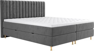 Mirjan24 Cama Continental Comfidream Fjorina, Fresh 32, Doble, Continental, 140x200, Tapiz, Somieres, 148x210x118cm