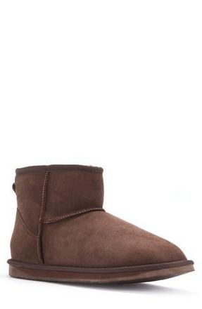 Australia Luxe Cosy Genuine Shearling Extra Short Bootie in Burnt at Nordstrom Rack, Size 9