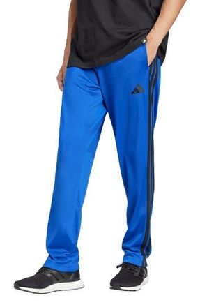 adidas 3-Stripes Track Pants in Team Royal Blue// at Nordstrom Rack, Size Medium