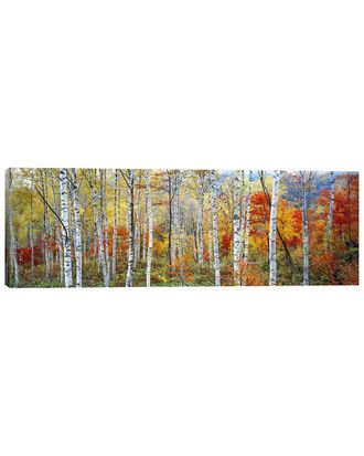 iCanvas Icanvas Icanvas Fall Trees, Shinhodaka, Gifu, Japan By Panoramic Images