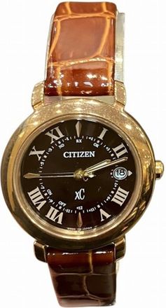 Citizen Citizen