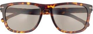 BOSS 55mm Square Sunglasses in Havana at Nordstrom Rack
